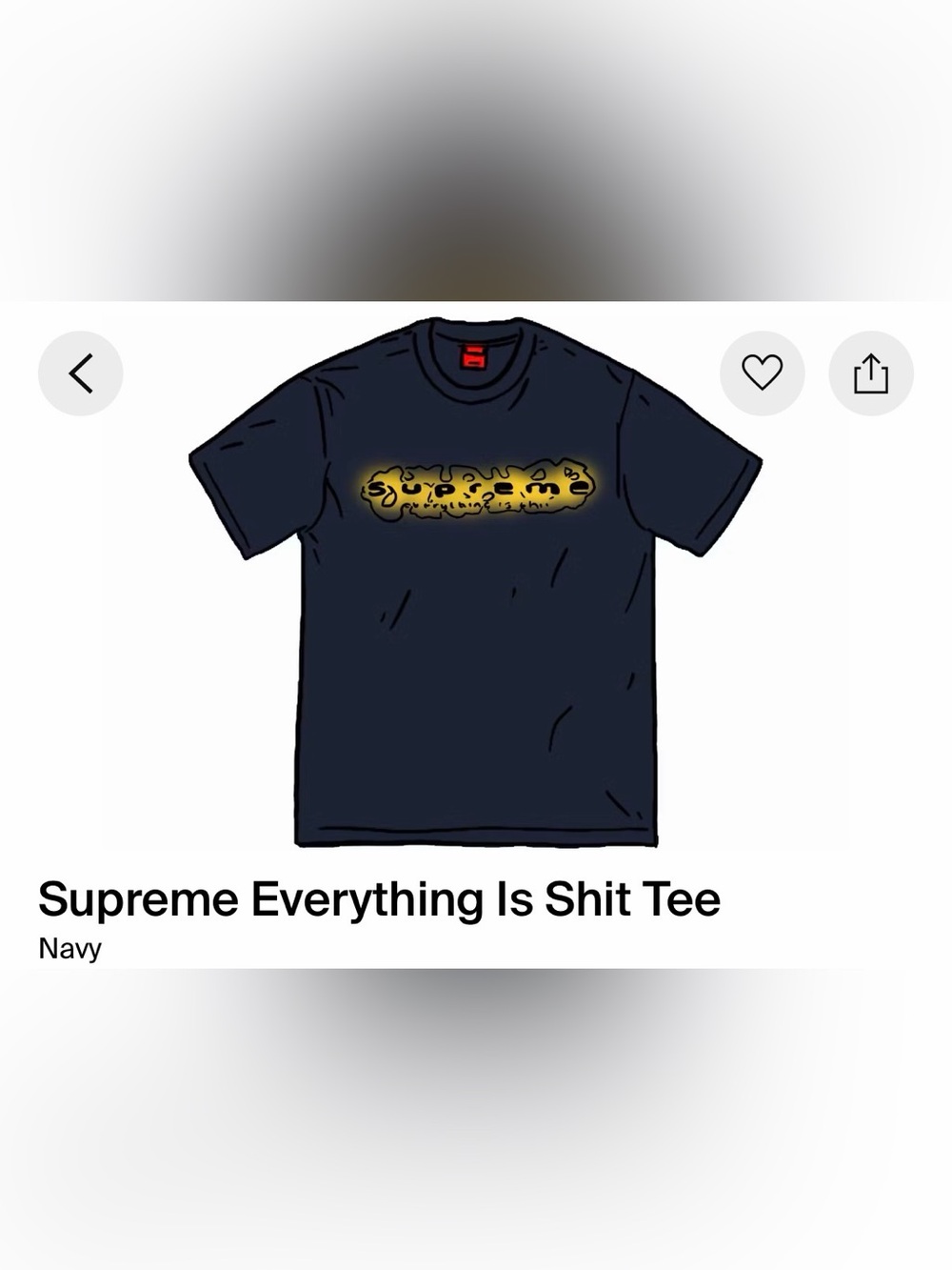 Supreme Everything Is Shit Tee SS2020 T-SHIRTS